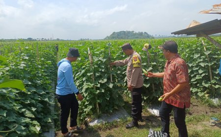 Bhabinkamtibmas Turun ke Petani, Polres Malang Petakan Kendala Pertanian