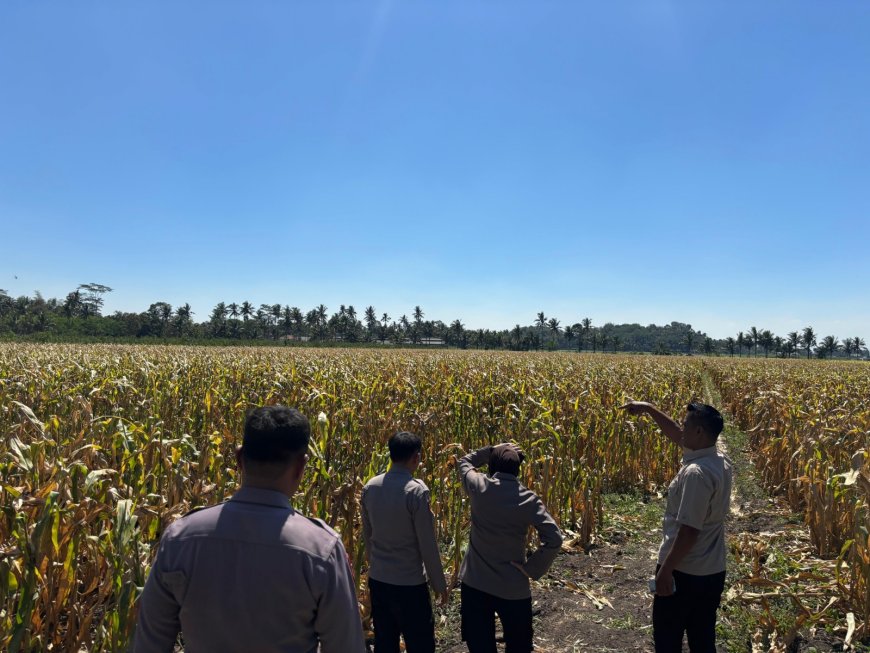 Jaga Pasokan Pangan, Polisi Dorong Lahan Desa Tetap Produktif